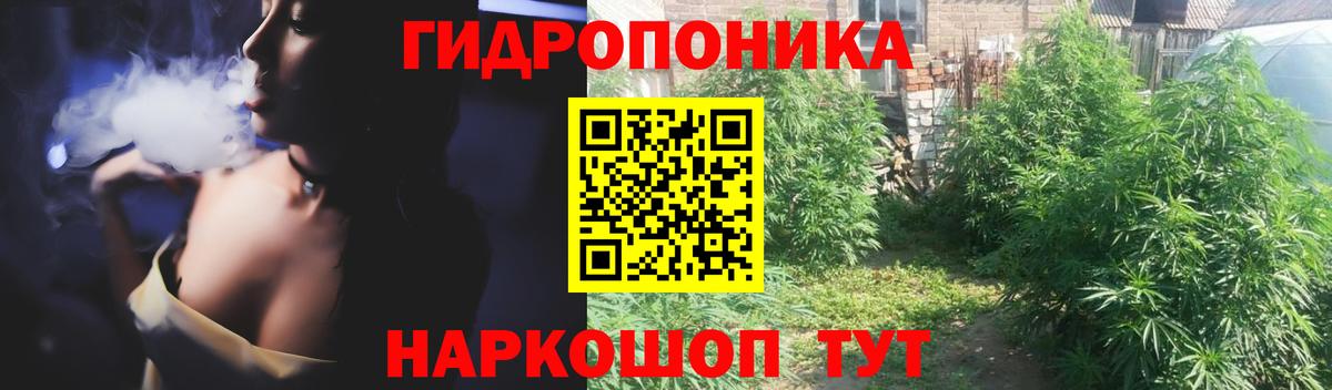 Бошки Шишки планчик Корсаков